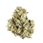 Buy Berry Pie Strain Online